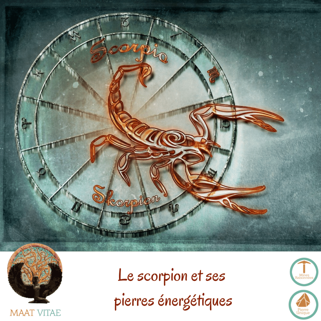 Scorpion - Signe du zodiaque - Signe Astrologique et pierres énergétiques