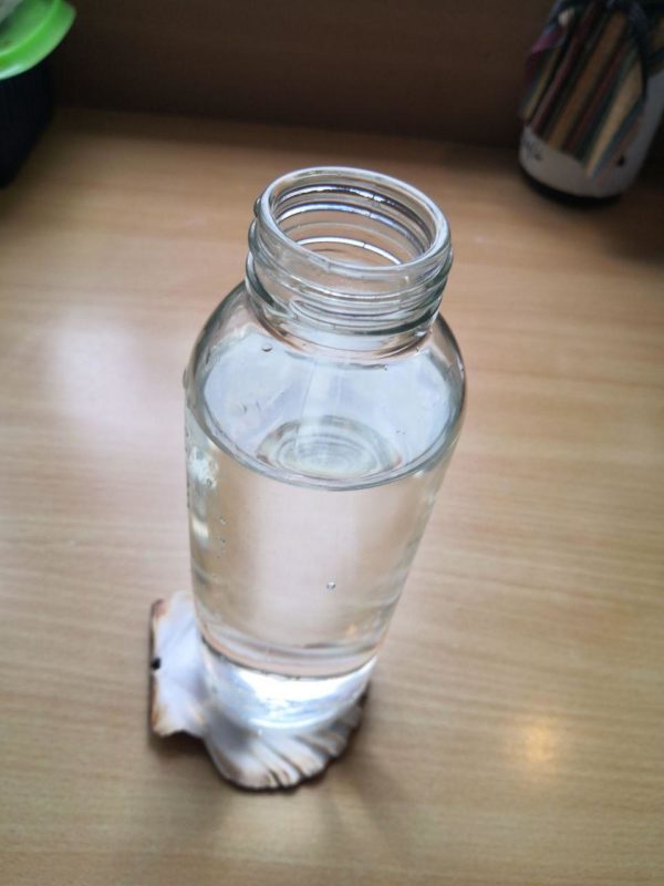 Vertu de la Coquille Saint JAcques : purification des liquides comme l'eau - Maât Vitae