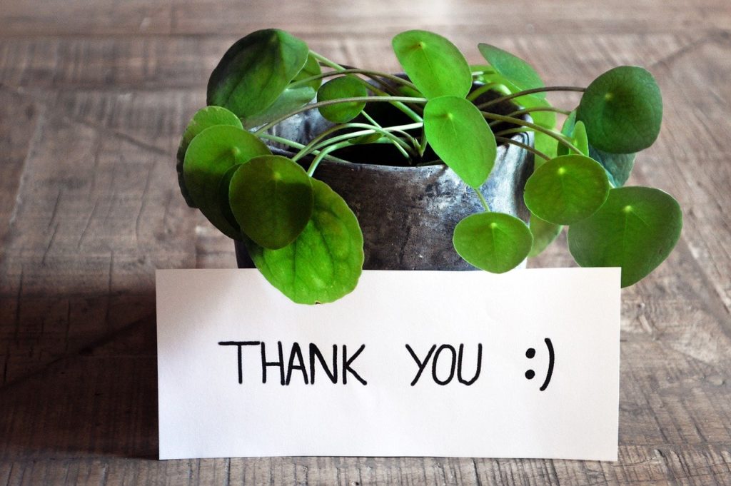 Géobiologie ou comment en faire profiter vos plantes​