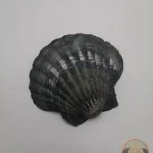 Lithothérapie pierres énergétiques