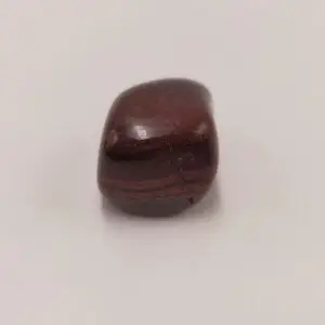 Oeil de Taureau