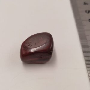 Oeil de Taureau