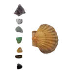 Packs chakras