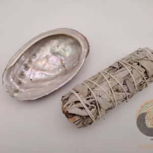 Ormeau abalone et bâton de sauge