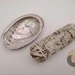 Ormeau abalone et bâton de sauge