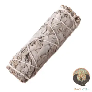 sauge blanche naturelle - maât vitae