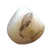 Opale