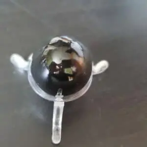 Oeuf Oeil Céleste