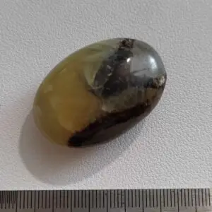 Septaria
