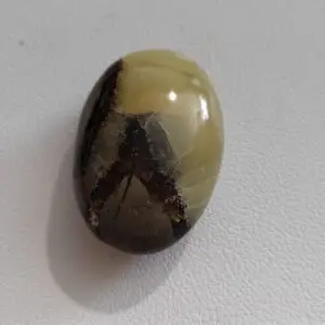 Septaria