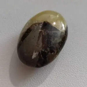 Septaria