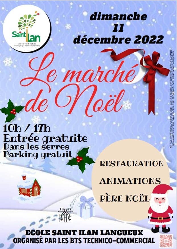 Lithothérapie pierres énergétiques marche de noel Saint Ilan Langueux Côtes d'armor