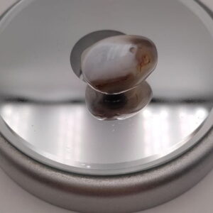Agate du Botswana