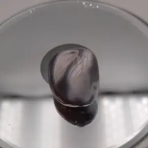 Agate du Botswana