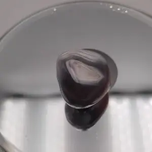 Agate du Botswana