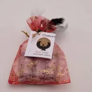 Coeurs de Gaia NOEL