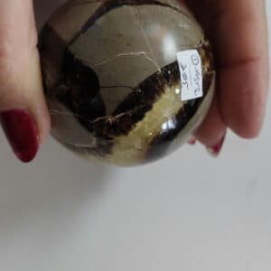 Oeuf de Septaria