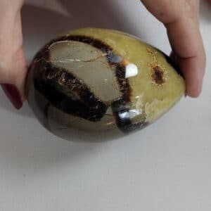 Oeuf de Septaria
