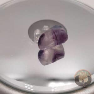 Fluorine