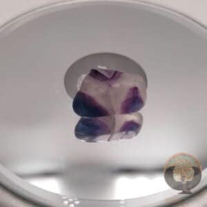 Fluorine
