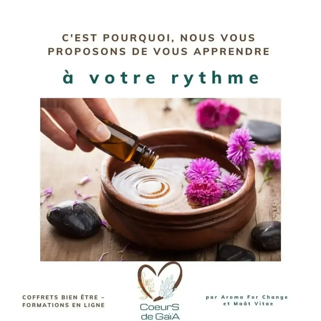 Formation Coeurs de Gaïa
