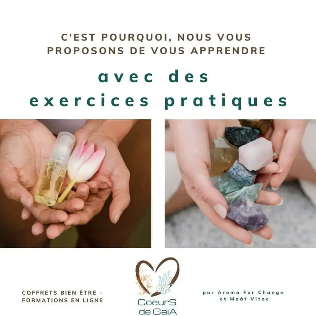 Formation Coeurs de Gaïa