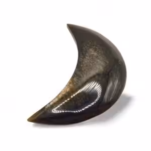 Obsidienne dorée - Maât Vitae - Plérin - Côtes d'Armor - Bretagne