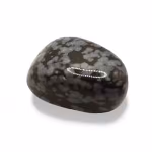 Obsidienne flocon de neige